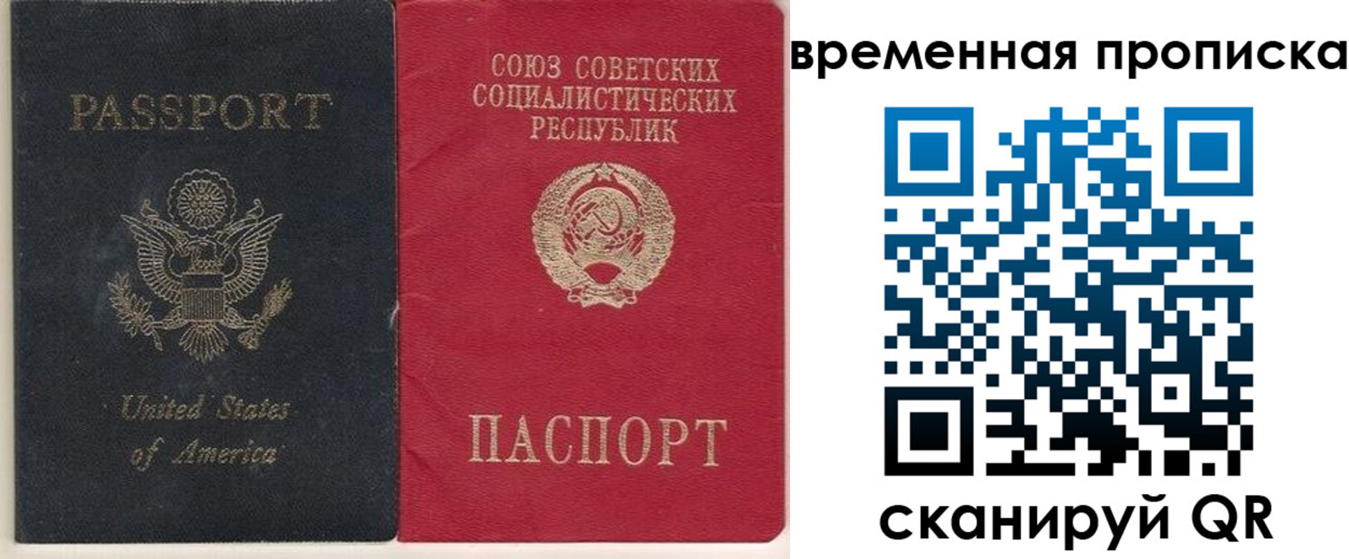 прописка для школы в Рошале